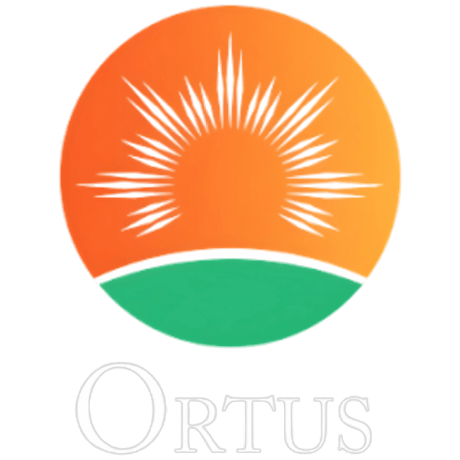 Ortus Synergy Sdn Bhd